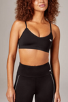 Blaze Push Up Sports Bra